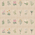 Mehek, Botanical Rendition Room Wallpaper