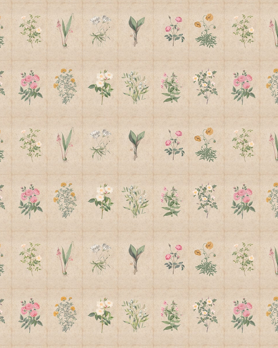 Mehek, Botanical Rendition Room Wallpaper