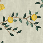 Chinoiserie Lemons, Customised Wallpaper for Walls - Marble Lotus - Chinoiserie Lemons, Customised Wallpaper for Walls