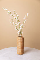 White Jasmine Flower Stem - Single - Marble Lotus - White Jasmine Flower Stem